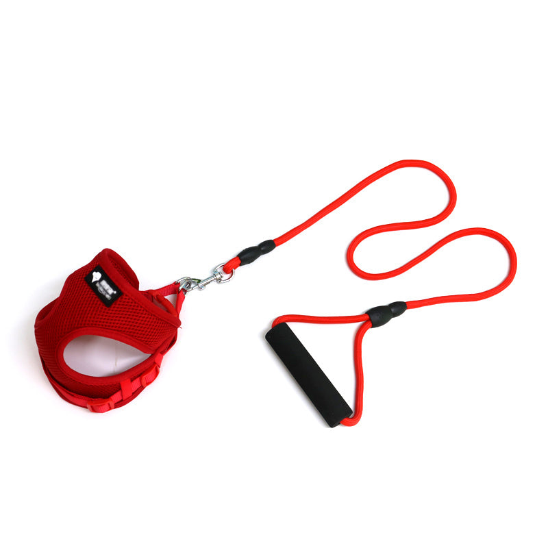 Adjustable Mesh Pet Harness with Foam Handle Leash – Breathable Nylon Dog Harness for Small Dogs & Cats