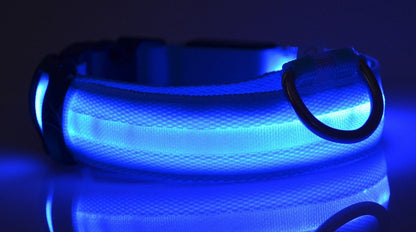 LED Nylon Safety Dog Collar – Adjustable, Waterproof, Rechargeable – 7 Color Options