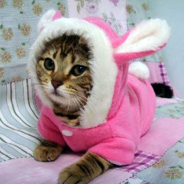 Warm Fleece Cat Hoodie – Cute Rabbit Costume for Cats & Small Dogs | Winter Pet Jacket