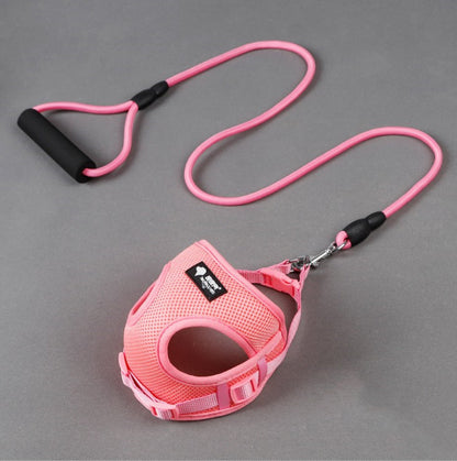 Adjustable Mesh Pet Harness with Foam Handle Leash – Breathable Nylon Dog Harness for Small Dogs & Cats