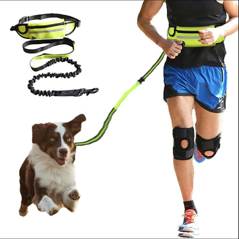 Hands-Free Dog Leash Belt with Adjustable Waist Strap and Bungee Leash – Ideal for Running, Walking & Hiking