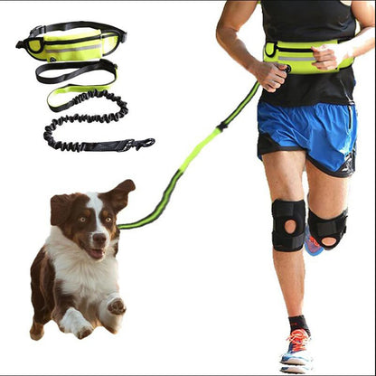 Hands-Free Dog Leash Belt with Adjustable Waist Strap and Bungee Leash – Ideal for Running, Walking & Hiking