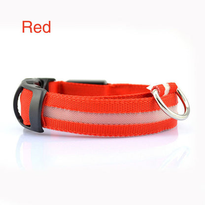 LED Flashing Dog Collar - Rechargeable with Multiple Light Modes
