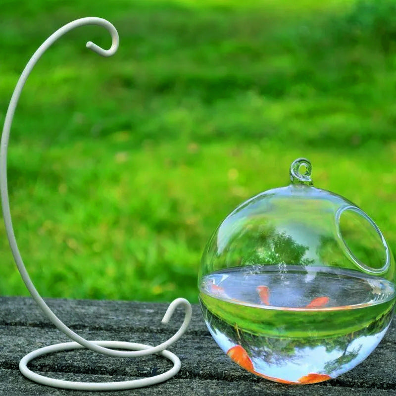 Mini High Borosilicate Glass Fish Tank – Decorative Tabletop Aquarium