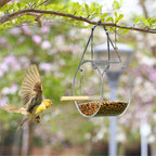 Transparent Acrylic Bird Feeder Food Box