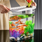 Acrylic Transparent Self-Cleaning Fish Tank with Hydroponic System