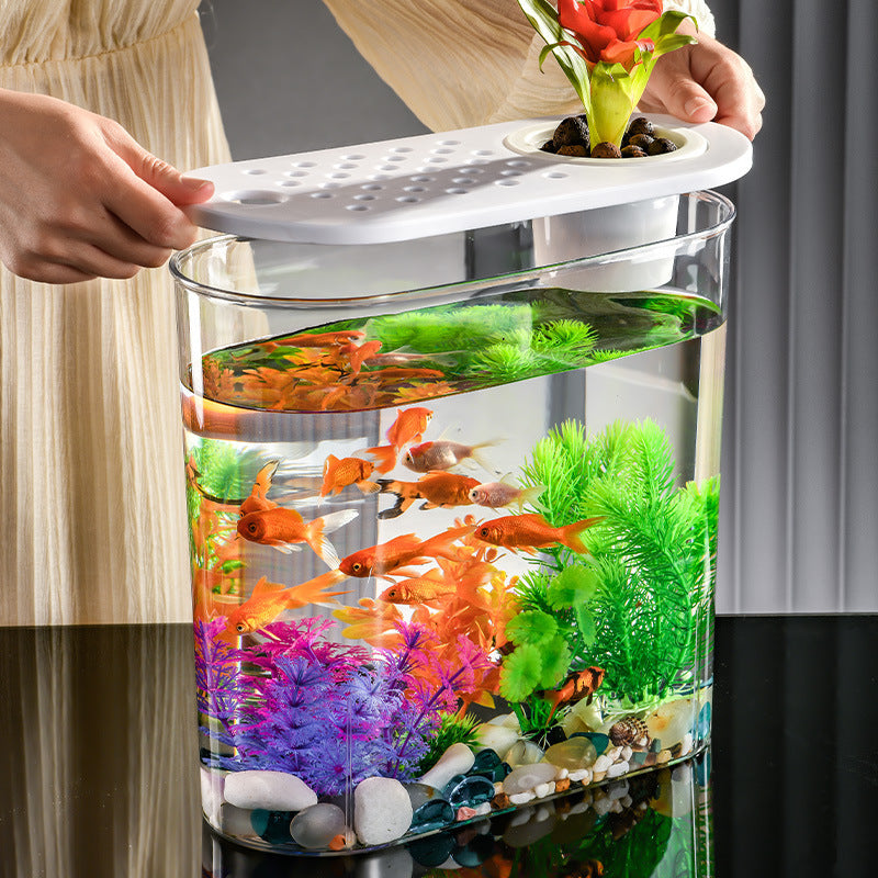 Acrylic Transparent Self-Cleaning Fish Tank with Hydroponic System
