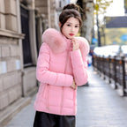 Removable Cap Down Cotton Small Padded Jacket