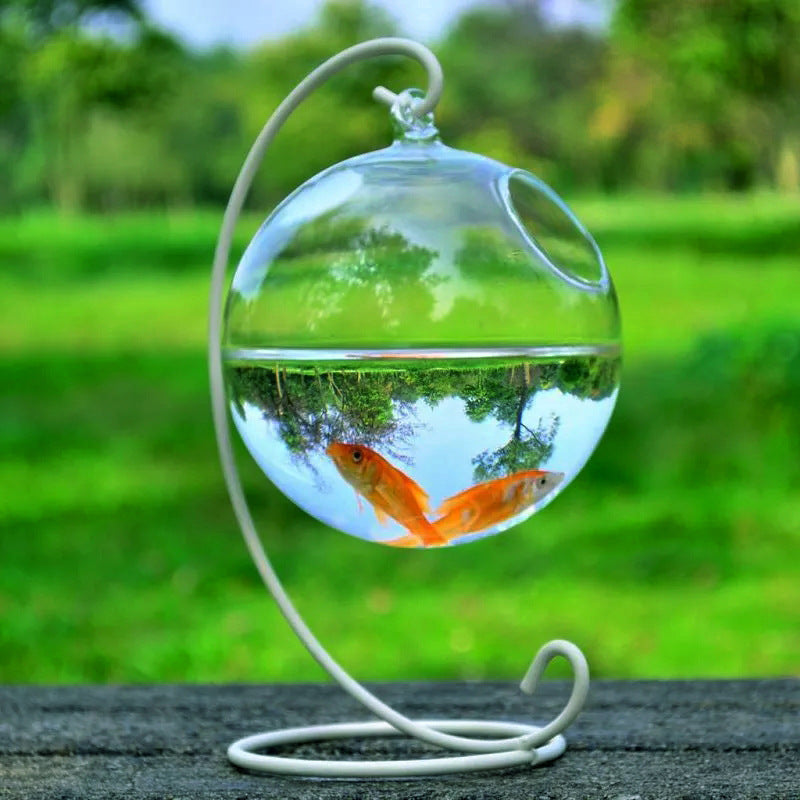 Mini High Borosilicate Glass Fish Tank – Decorative Tabletop Aquarium