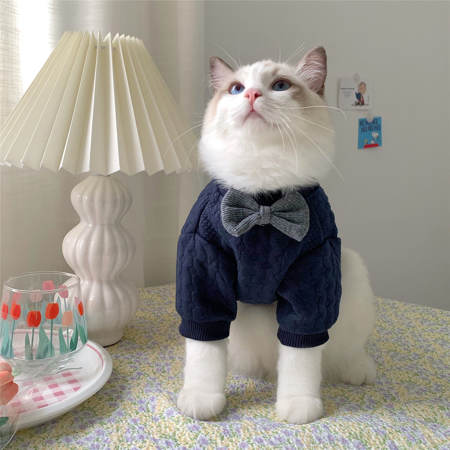 Soft & Warm Pet Sweater for Small & Medium cat