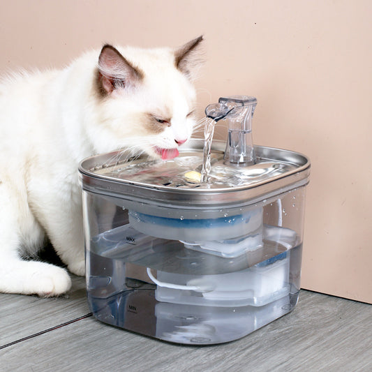 Premium Stainless Steel Pet Water Fountain – 2L Automatic Cat & Dog Water Dispenser