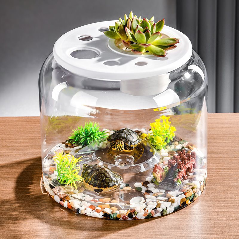 Premium Large Turtle Tank – Durable Plastic Habitat with Optional Lid
