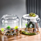 Premium Large Turtle Tank – Durable Plastic Habitat with Optional Lid