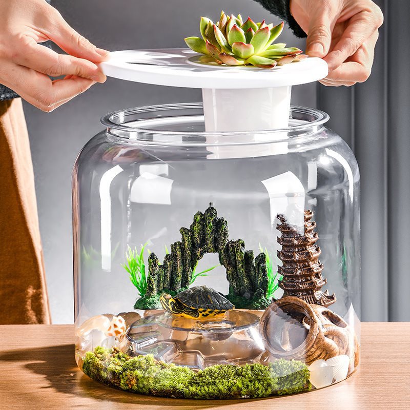 Premium Large Turtle Tank – Durable Plastic Habitat with Optional Lid