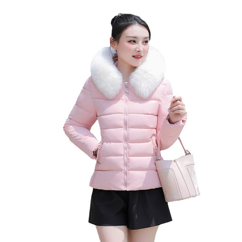 Women's Slim Fit Short Padded jacket