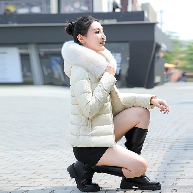 Women's Slim Fit Short Padded jacket