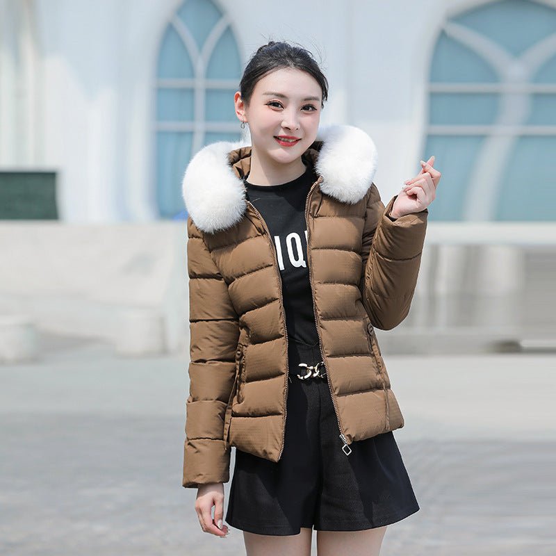 Women's Slim Fit Short Padded jacket