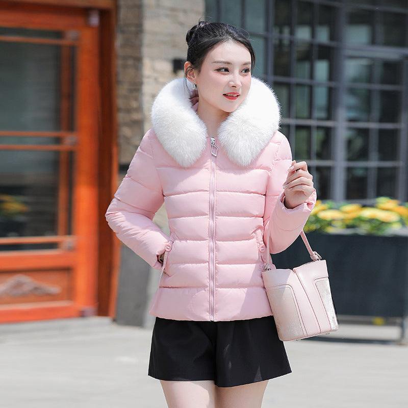 Women's Slim Fit Short Padded jacket