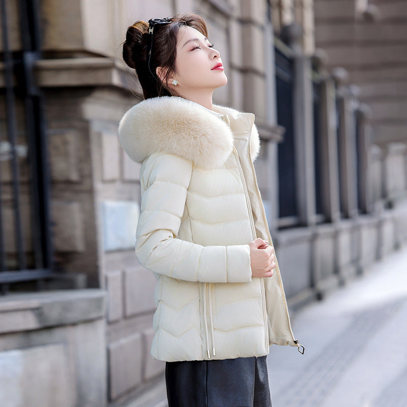 Women's Thick Padded Jacket