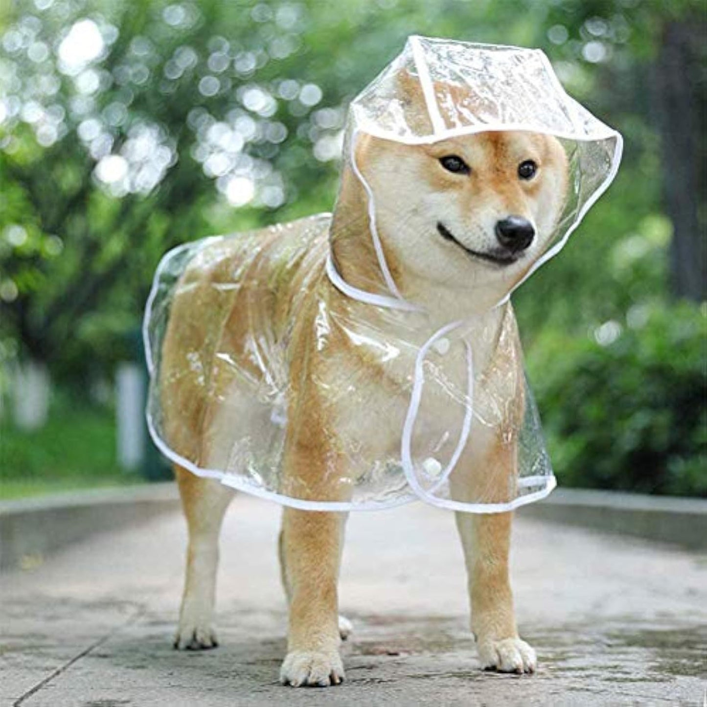 Transparent Dog Raincoat for Small & Medium Pets – Waterproof Hooded EVA Jacket