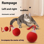 Interactive Cat Toy with Auto Shut-Off and Chirping Sounds