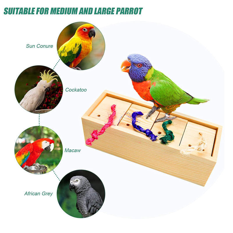 Houten papegaaienspeelgoedpuzzeltrainingsset - Vogelbenodigdheden