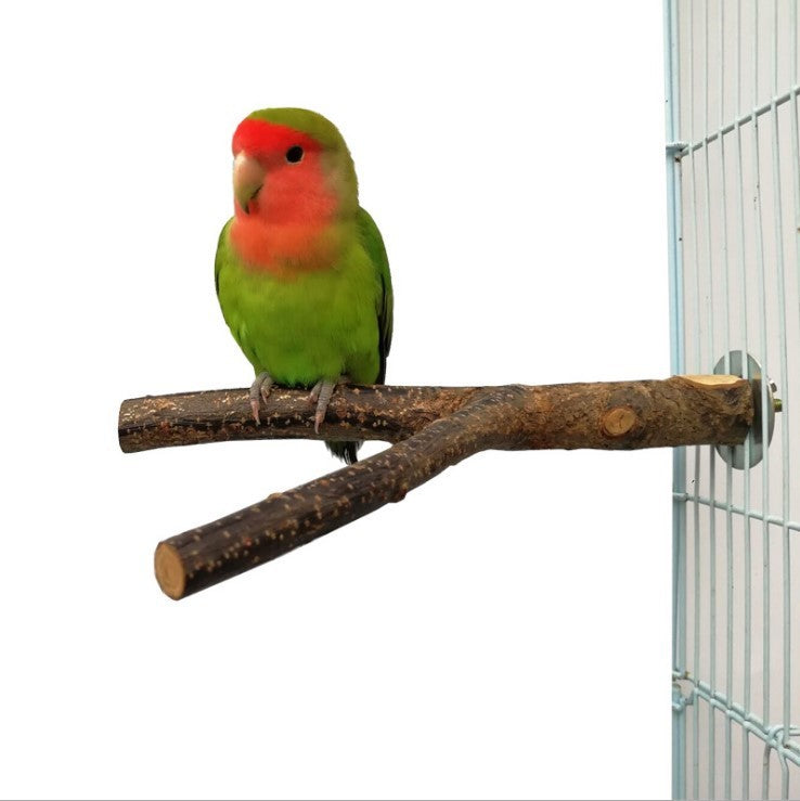 Natural Apple Wood Bird Perch Ring – Chewable Swing Toy for Small & Medium Birds