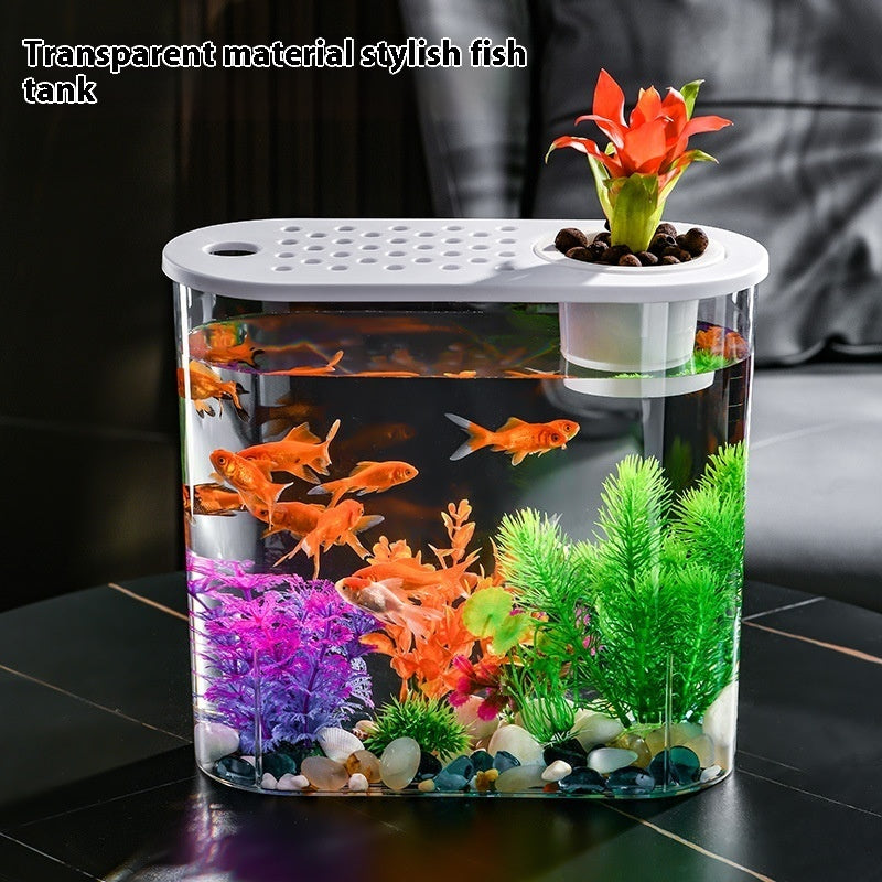 Acrylic Transparent Self-Cleaning Fish Tank with Hydroponic System