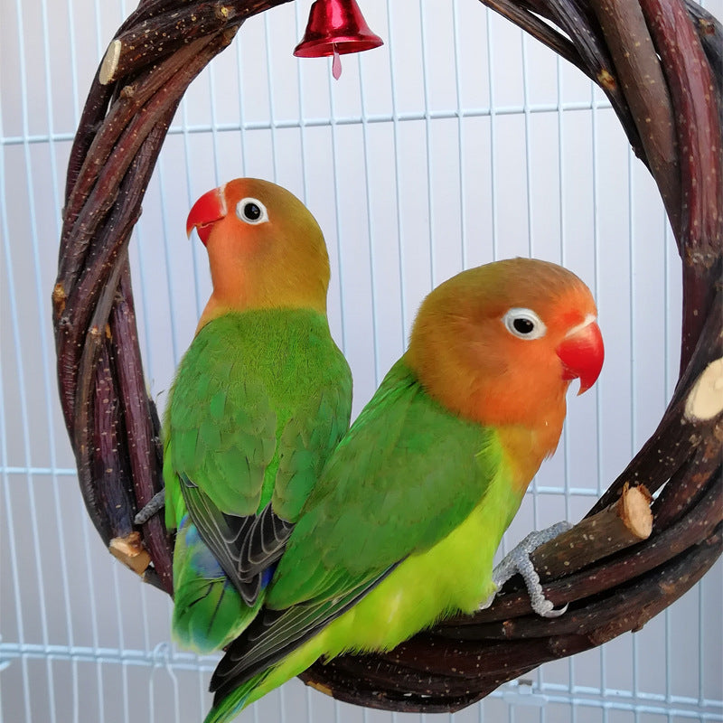 Natural Apple Wood Bird Perch Ring – Chewable Swing Toy for Small & Medium Birds