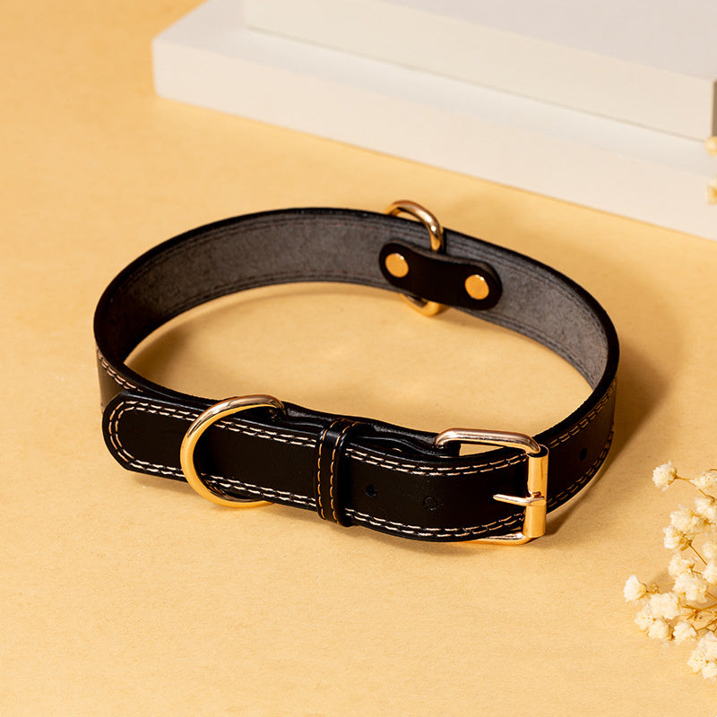 Premium Leather Cowboy Dog Collar for All Seasons