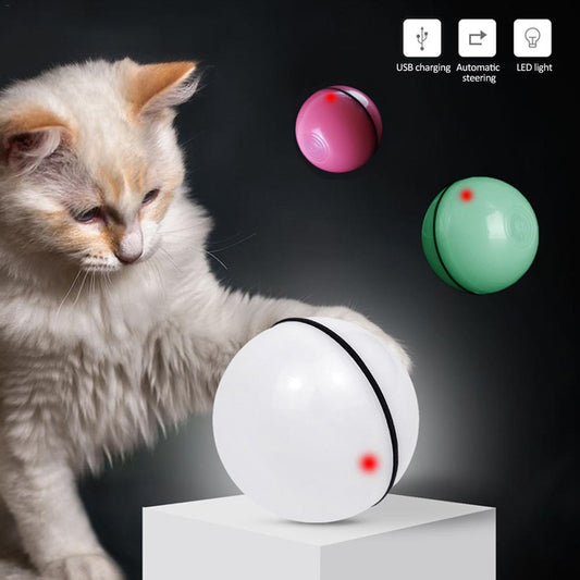 Automatic Interactive Cat Toy Ball with LED Lights & Catnip | USB Rechargeable Pet Toy for Cats & Kittens