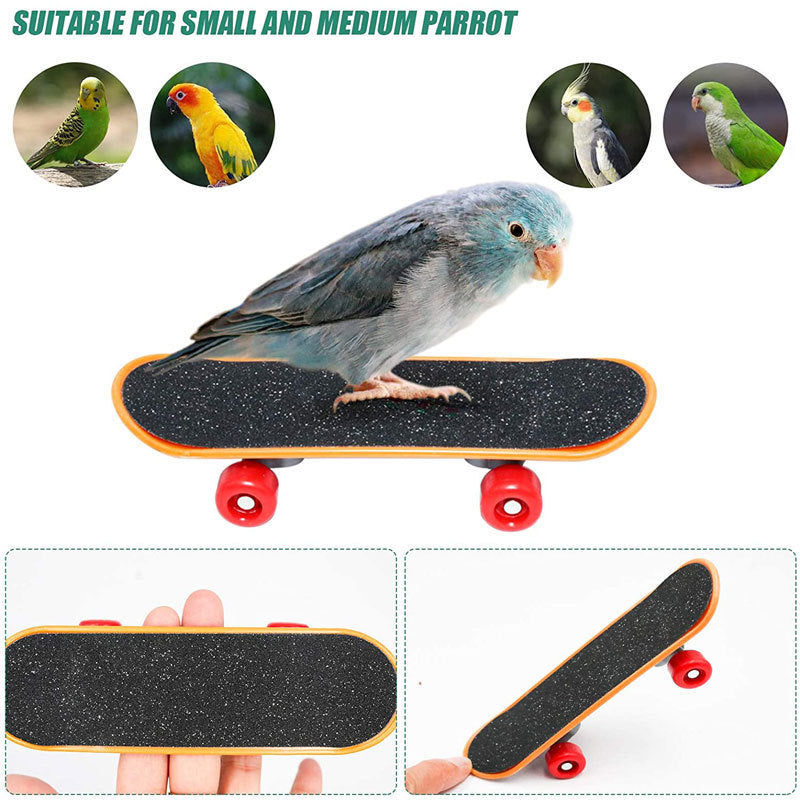 Houten papegaaienspeelgoedpuzzeltrainingsset - Vogelbenodigdheden