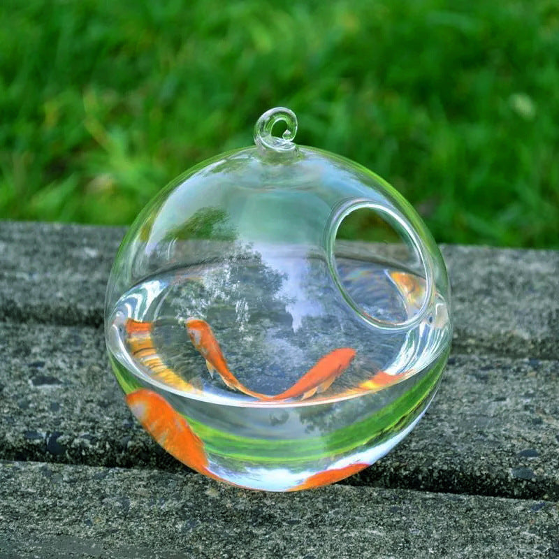 Mini High Borosilicate Glass Fish Tank – Decorative Tabletop Aquarium